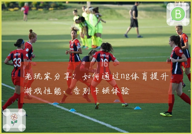 老玩家分享：如何通过ng体育提升游戏性能，告别卡顿体验