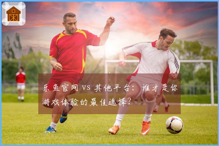 乐鱼官网 vs 其他平台：谁才是你游戏体验的最佳选择？