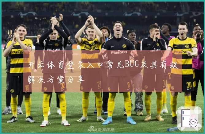 开云体育登录入口常见BUG及其有效解决方案分享