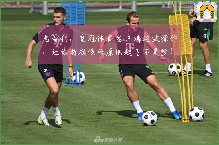 老哥们，皇冠体育客户端这波操作，让你游戏技巧原地起飞不是梦！