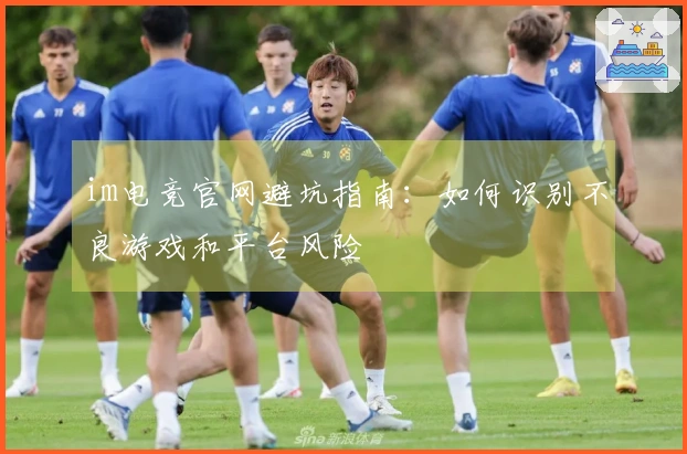 im电竞官网避坑指南：如何识别不良游戏和平台风险